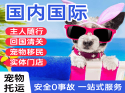 保山云瑞机场托运国际宠物托运 【国